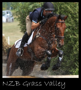 Mark Todd Riding Grass Valley